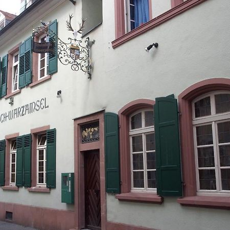Apartmán Weinstube Schwarzamsel Špýr Exteriér fotografie