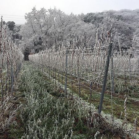 Apartmán Weinstube Schwarzamsel Špýr Exteriér fotografie
