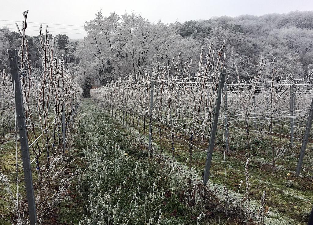 Apartmán Weinstube Schwarzamsel Špýr Exteriér fotografie